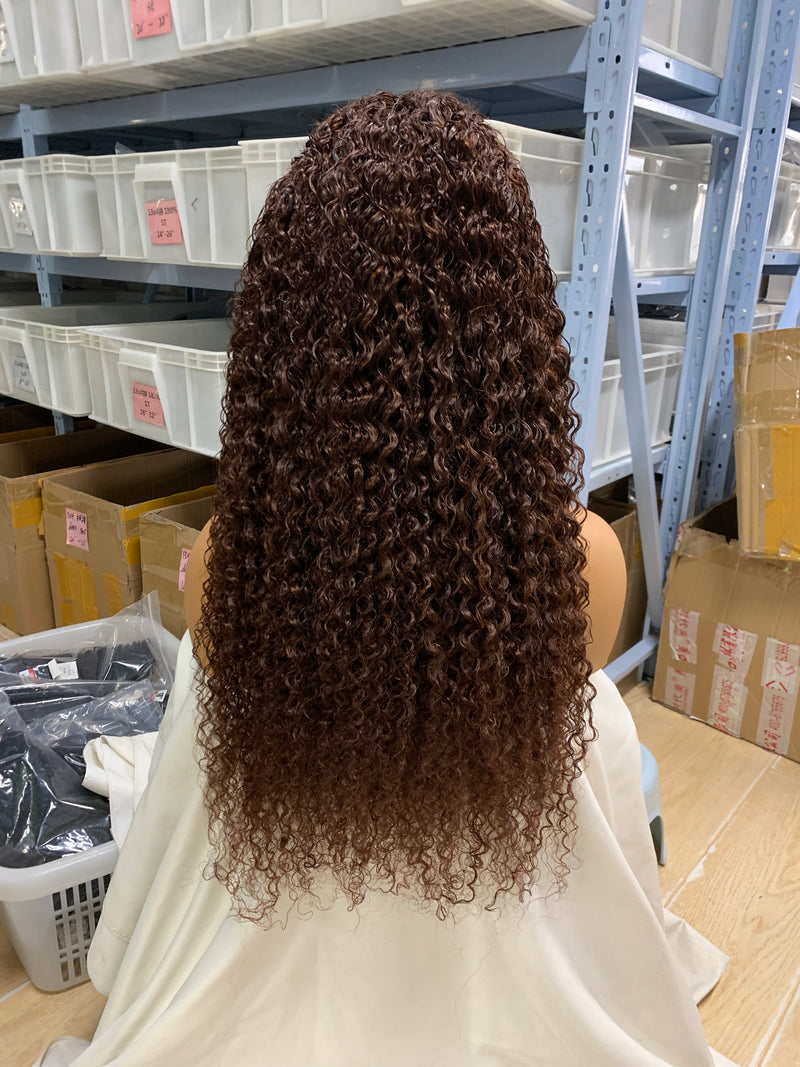 Kinky Curly 13*4 Full Lace Front Wig  Brown Color Bridger Hair