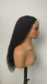 Glueless Wig pre-plucked jerry curly 13*4 lace frontal wig human hair