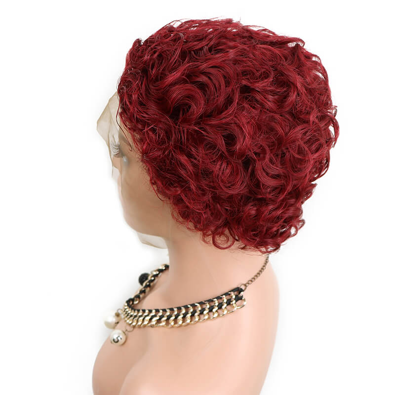 Short Curly 13*1 Lace Front Wig / Bridger Hair