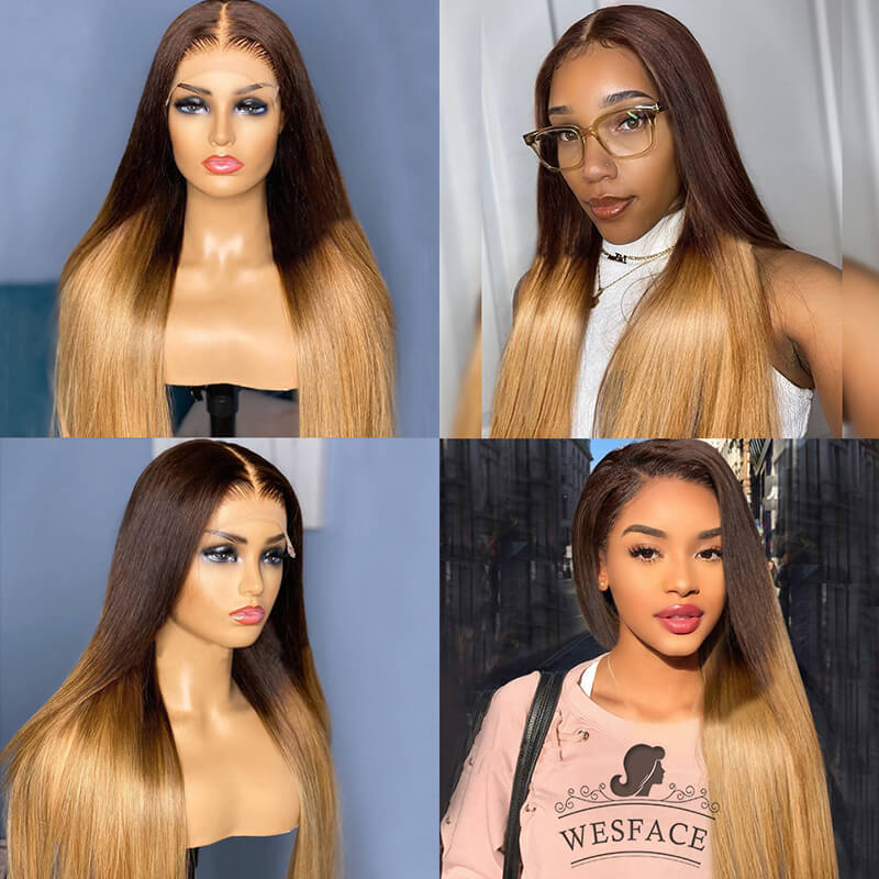 Ombre #427 Straight Lace Front Wig